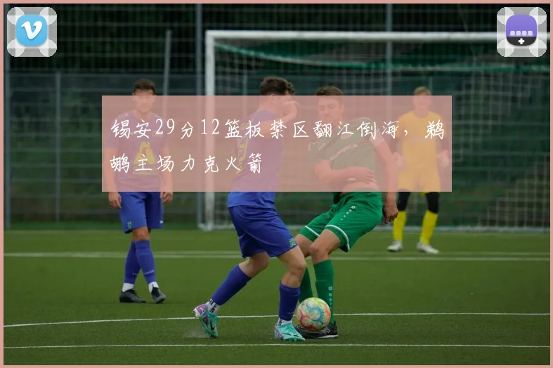 锡安29分12篮板禁区翻江倒海，鹈鹕主场力克火箭